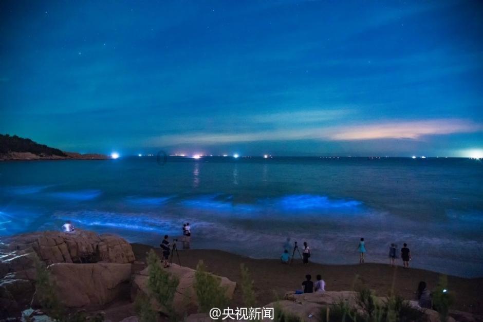 乐高都市卧底风云