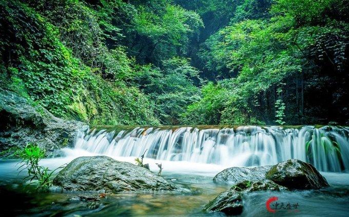 “一孕傻三年”喵妈妈生子心力交瘁，小喵星人：我不要