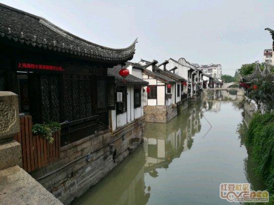 丧尸围城4